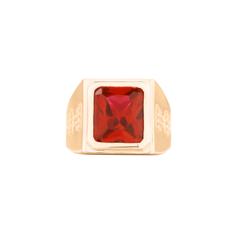 GARNET SIGNET RING – OTHER PEOPLE'S PROPERTY