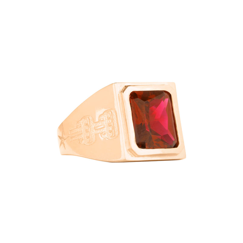 GARNET SIGNET RING – OTHER PEOPLE'S PROPERTY